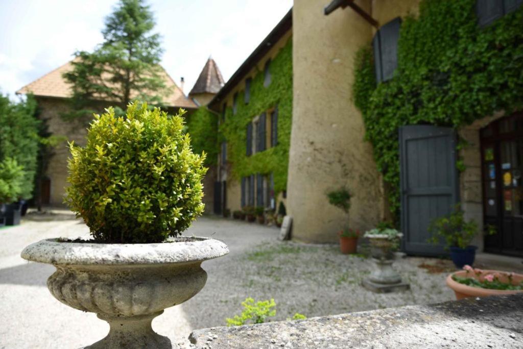 Château de Passières Chichilianne Exterior foto